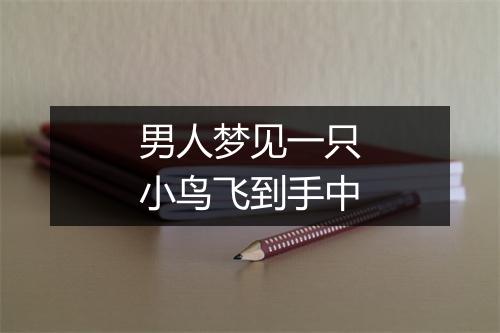 男人梦见一只小鸟飞到手中