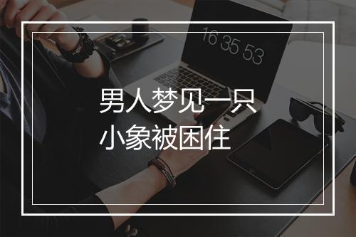 男人梦见一只小象被困住