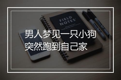 男人梦见一只小狗突然跑到自己家