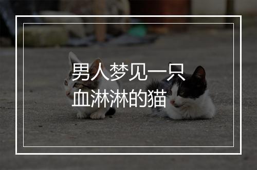 男人梦见一只血淋淋的猫