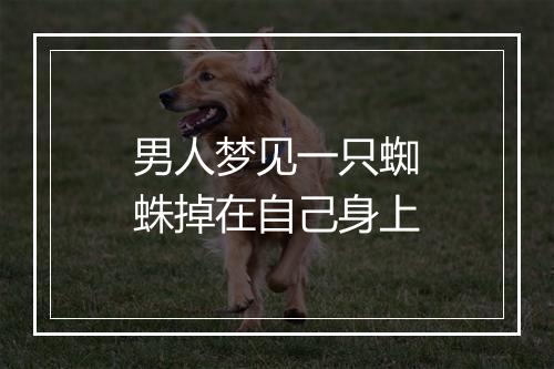 男人梦见一只蜘蛛掉在自己身上