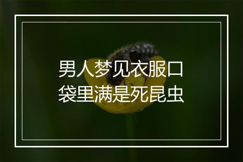 男人梦见衣服口袋里满是死昆虫