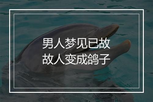 男人梦见已故故人变成鸽子