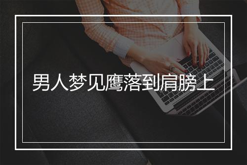 男人梦见鹰落到肩膀上