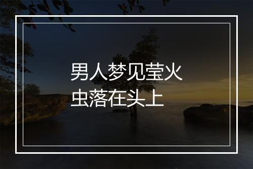 男人梦见莹火虫落在头上