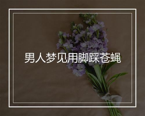 男人梦见用脚踩苍蝇