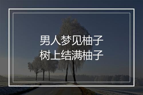 男人梦见柚子树上结满柚子