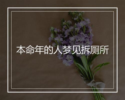 本命年的人梦见拆厕所