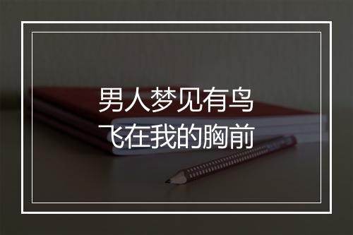 男人梦见有鸟飞在我的胸前