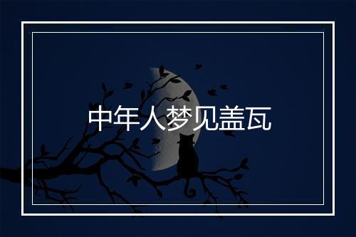 中年人梦见盖瓦