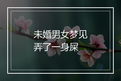 未婚男女梦见弄了一身屎