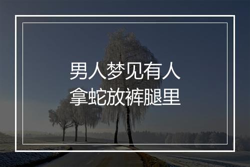 男人梦见有人拿蛇放裤腿里