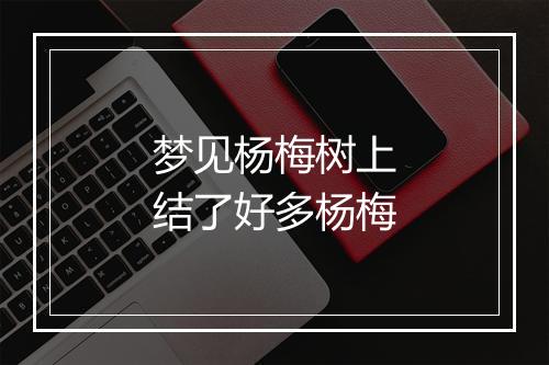 梦见杨梅树上结了好多杨梅