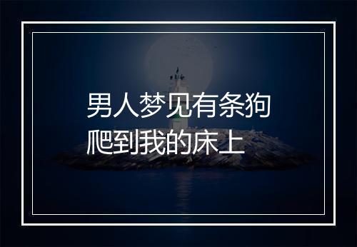 男人梦见有条狗爬到我的床上