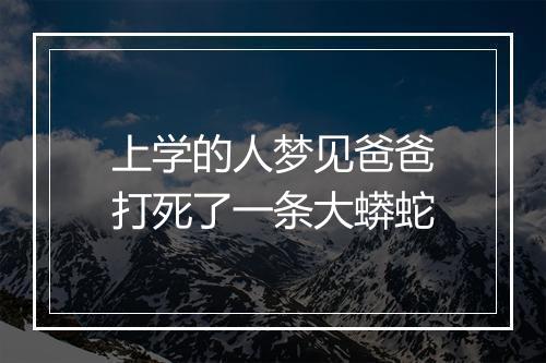 上学的人梦见爸爸打死了一条大蟒蛇