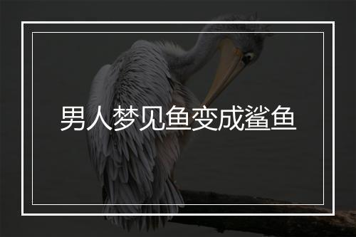 男人梦见鱼变成鲨鱼