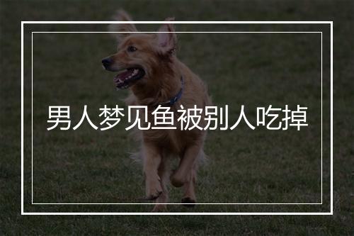 男人梦见鱼被别人吃掉