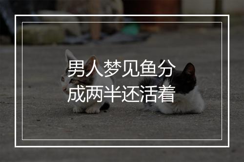 男人梦见鱼分成两半还活着