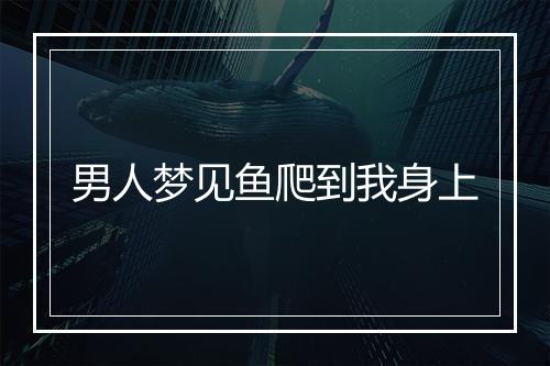 男人梦见鱼爬到我身上