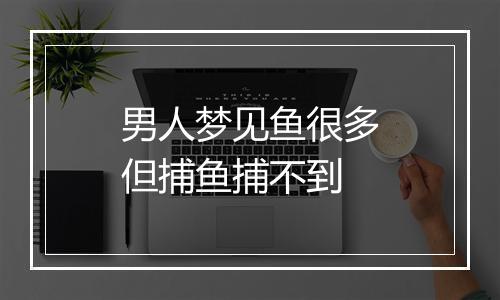 男人梦见鱼很多但捕鱼捕不到