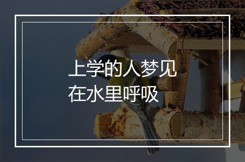 上学的人梦见在水里呼吸