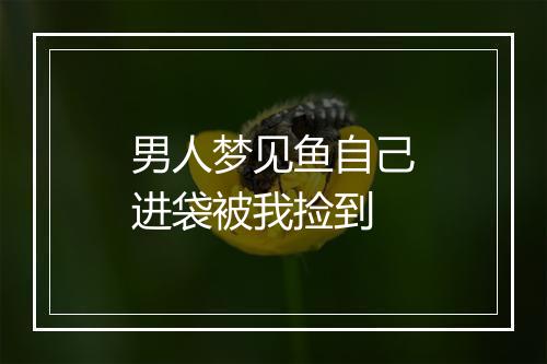 男人梦见鱼自己进袋被我捡到