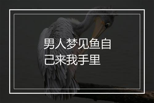 男人梦见鱼自己来我手里