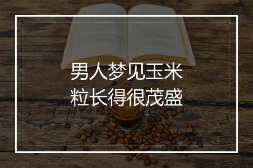 男人梦见玉米粒长得很茂盛