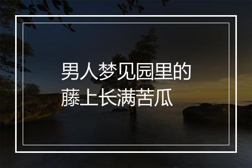 男人梦见园里的藤上长满苦瓜