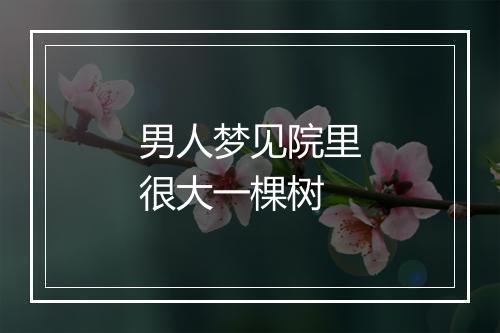 男人梦见院里很大一棵树