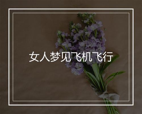 女人梦见飞机飞行