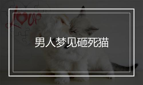 男人梦见砸死猫