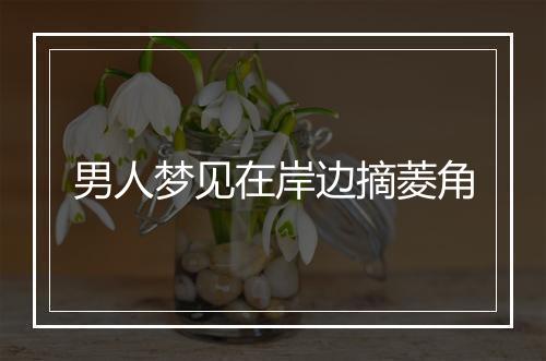 男人梦见在岸边摘菱角