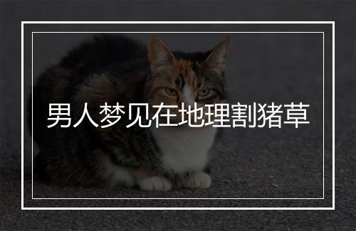 男人梦见在地理割猪草