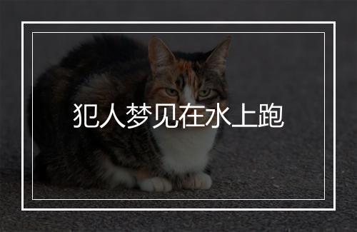 犯人梦见在水上跑