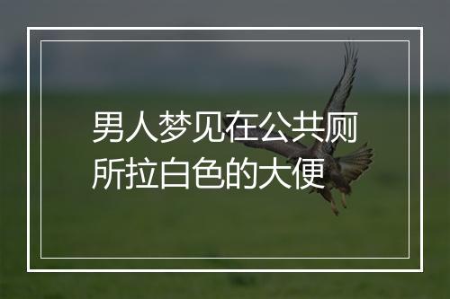 男人梦见在公共厕所拉白色的大便