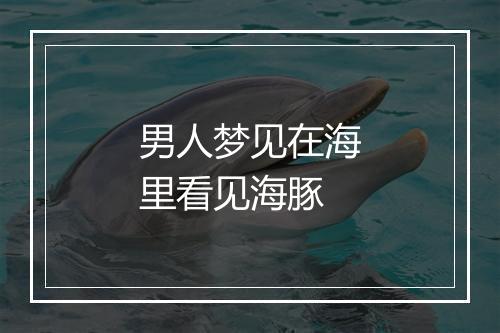 男人梦见在海里看见海豚