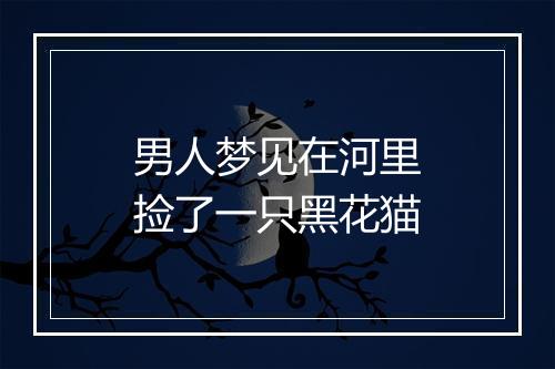 男人梦见在河里捡了一只黑花猫