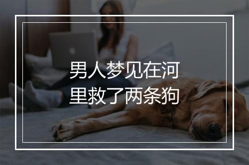 男人梦见在河里救了两条狗