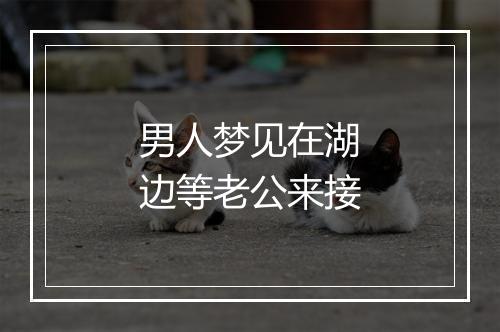 男人梦见在湖边等老公来接