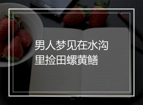 男人梦见在水沟里捡田螺黄鳝