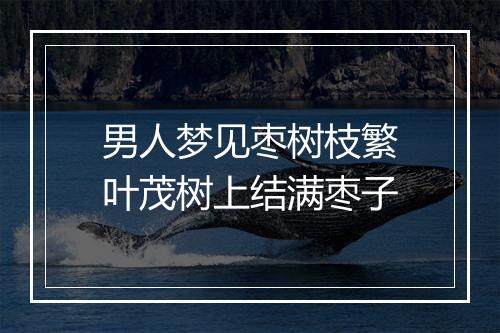 男人梦见枣树枝繁叶茂树上结满枣子