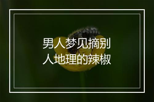 男人梦见摘别人地理的辣椒