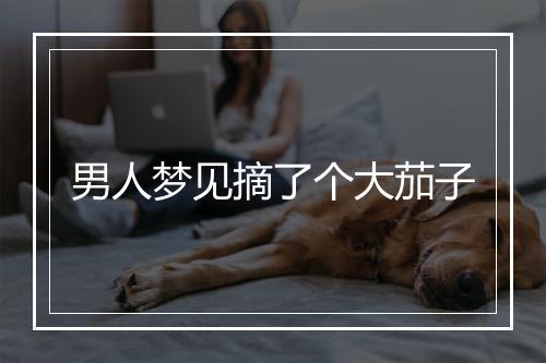 男人梦见摘了个大茄子