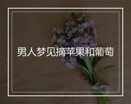 男人梦见摘苹果和葡萄