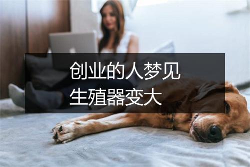 创业的人梦见生殖器变大