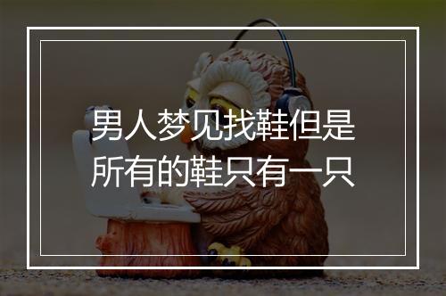 男人梦见找鞋但是所有的鞋只有一只