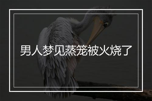 男人梦见蒸笼被火烧了