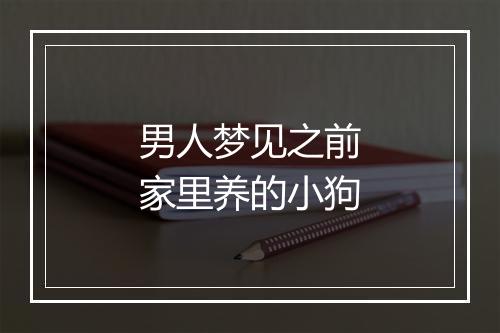 男人梦见之前家里养的小狗