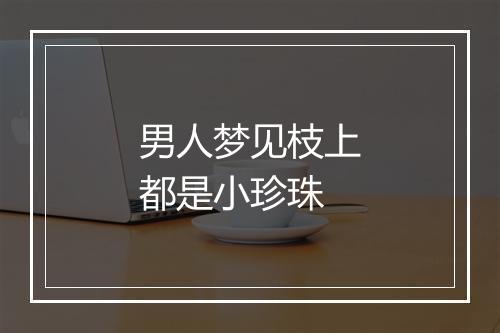 男人梦见枝上都是小珍珠